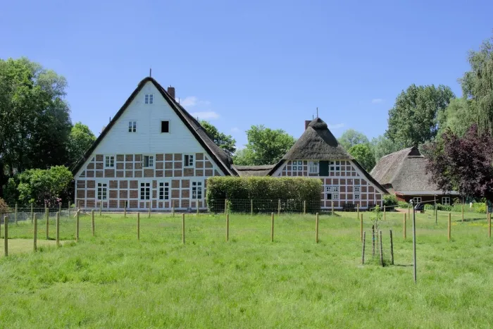 Zwei alte Fachwerkhäuser mit Reetdach, hinter einer Weide.